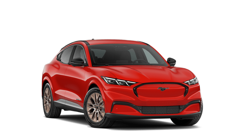 Mustang Mach-E® vehicle